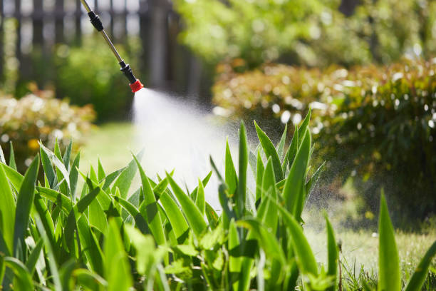 Tamper-Resistant Bait Stations for Rodents in Seeley Lake